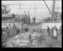 Image of Pile of hides on dock, discharging seals